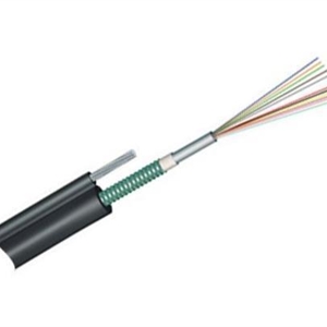 Figure 8 Cable（GYXTC8S）