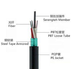 Armored Cable 48 Core Fiber Optic Cable G652D Fiber Cable Corrugated Steel Tape