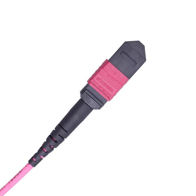 12 Core Male MPO Trunk Cable Multimode MTP MPO Patch Cord 0